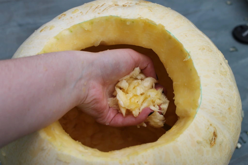 Removing Pumpkin Seeds Halloween Pumpkin Guide by Immortal Wordsmith