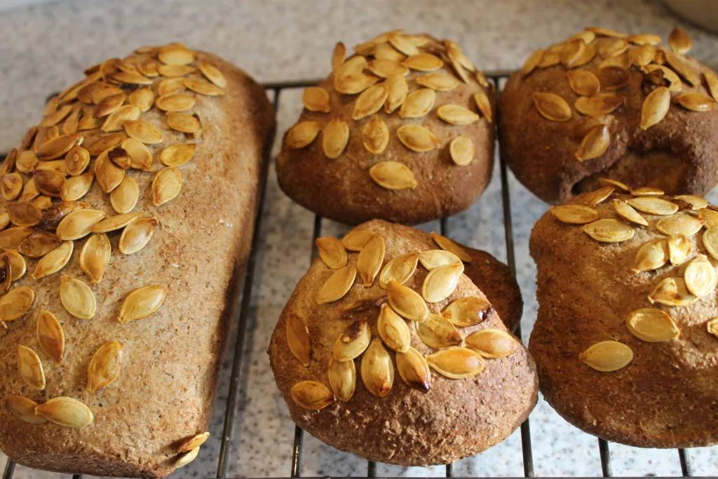 pumpkin seed loaves