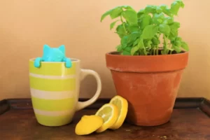 Mug lemon and basil, tea tips and tea reviews from Izzy's Corner