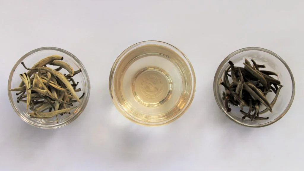 silver needle tea review