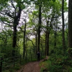 devil's bridge trail