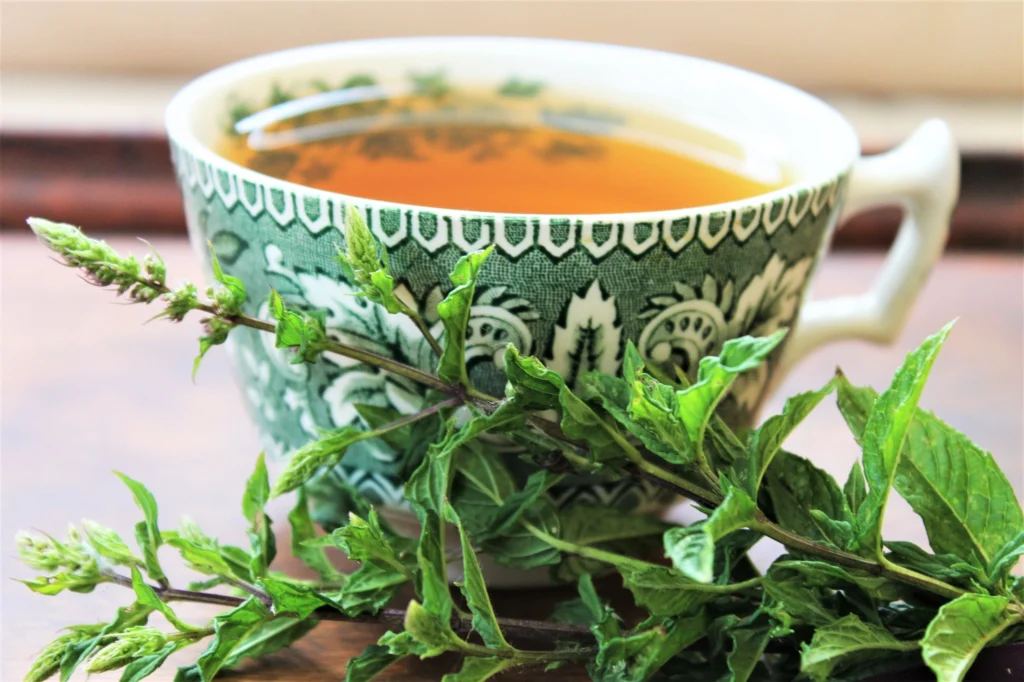 peppermint tea review