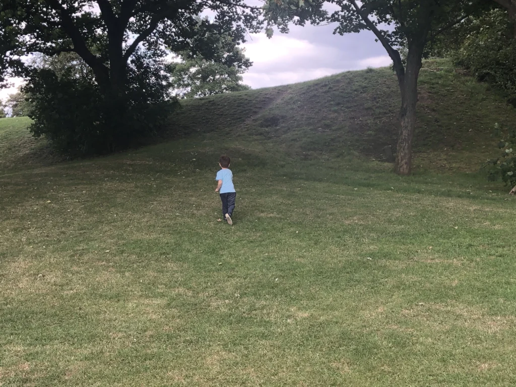 coalhouse fort banks