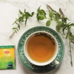 lipton green tea mint tea review