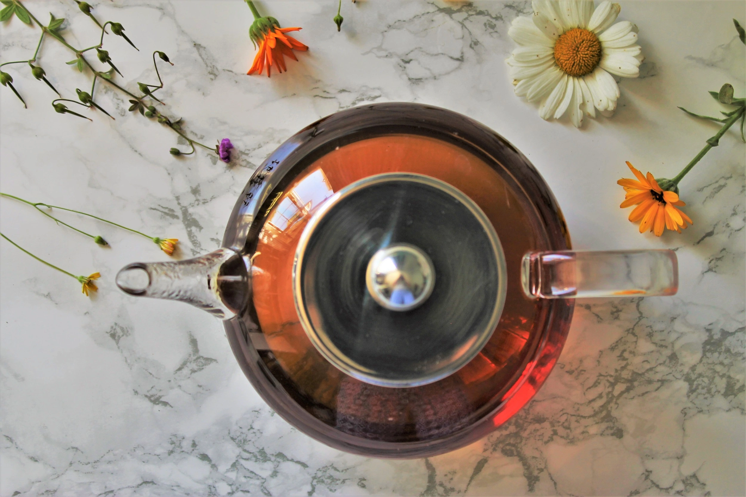 what-cha argentina misiones black tea review