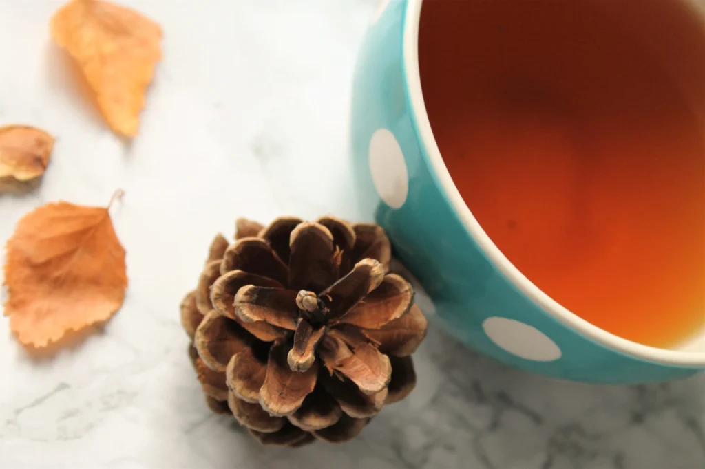 pinecone polkadot teacup black ginger tea