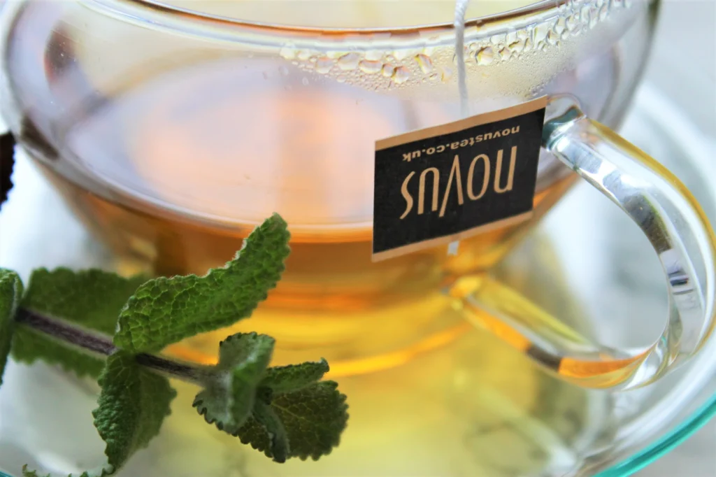 egyptian mint tea