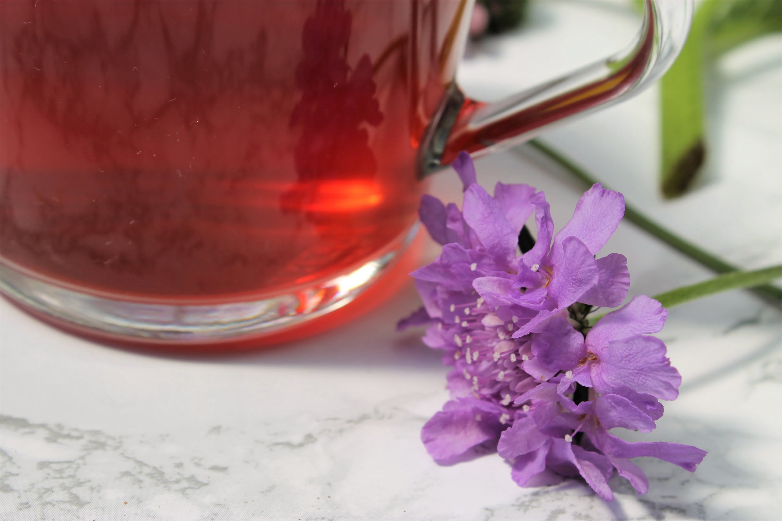 flowers and fruit tea image