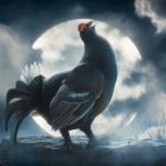 the famous grouse smoky black review