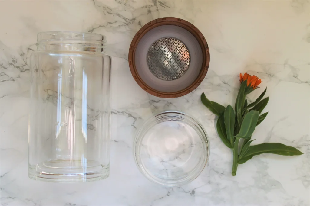 teapro on the go bottle infuser