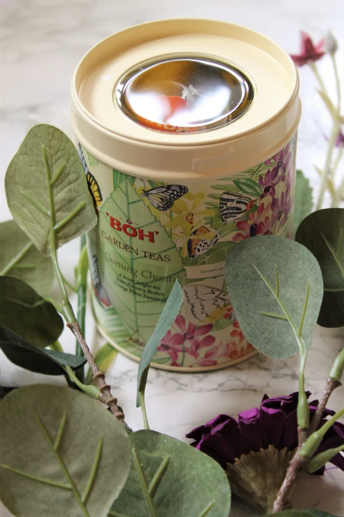 boh garden teas tea caddy