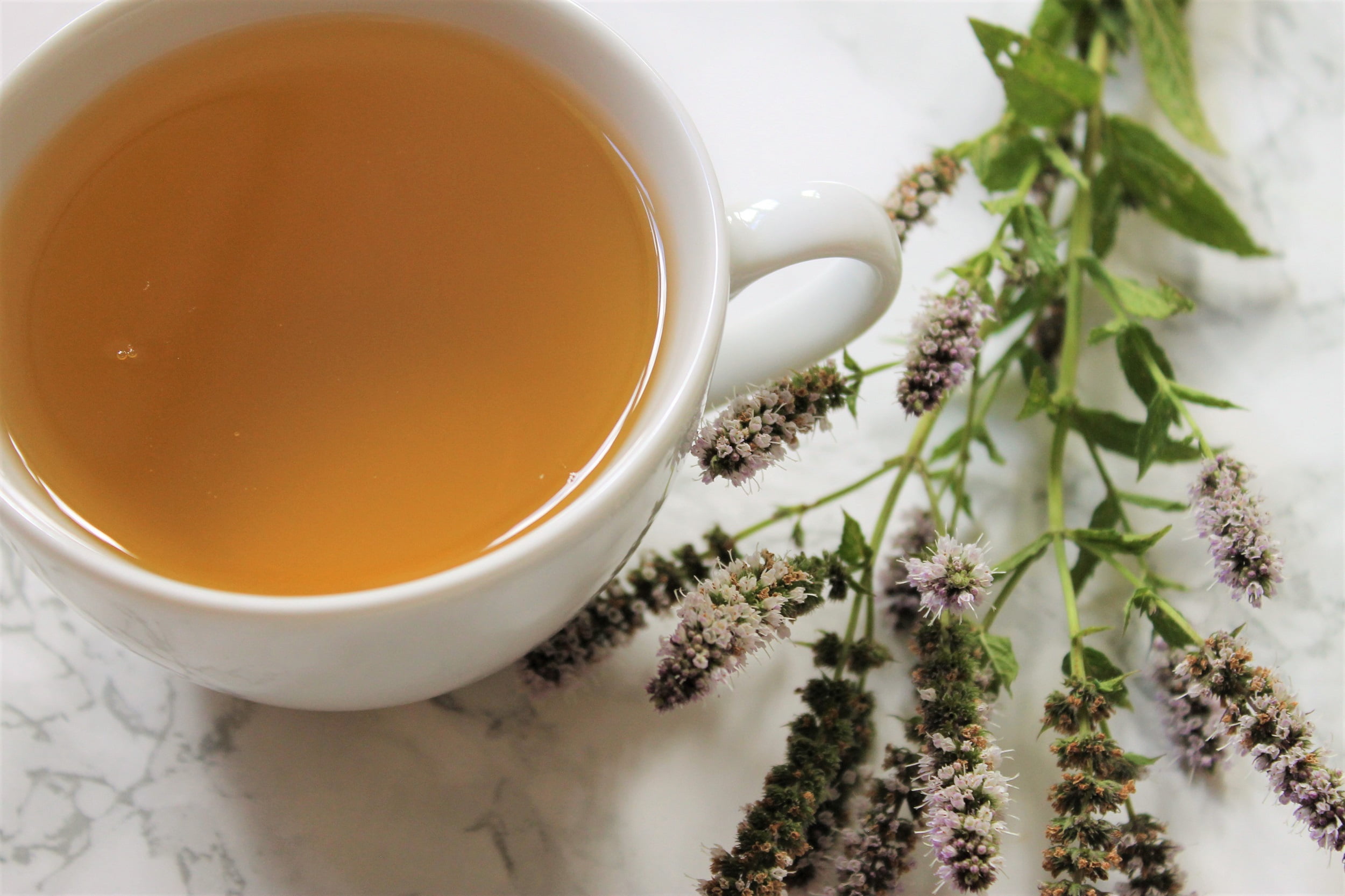 basilur leaf of ceylon green tea