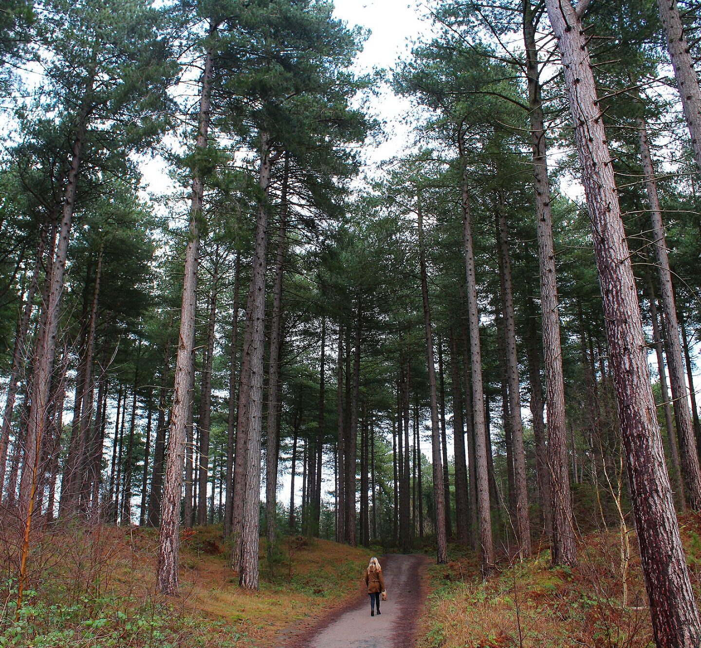 Formby National Trust: An Underrated Outdoor Getaway