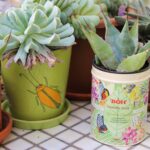 plant in tea caddy