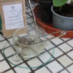 remove tea stains from infusers