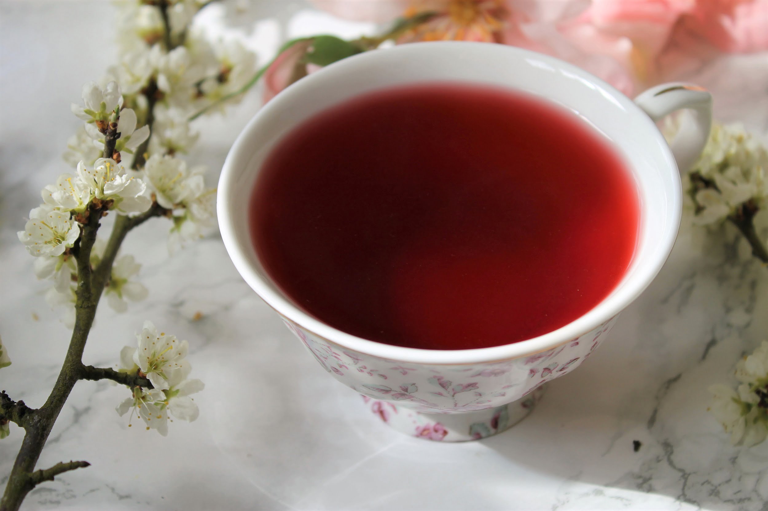 hibiscus fruit tea