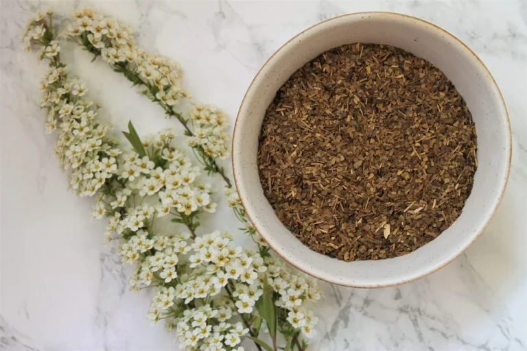yerba mate guide