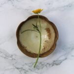 Umi Tea Sets – The Rainforest Wall Japanese Tea Cup Review