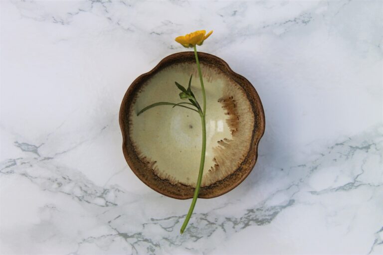 Umi Tea Sets – The Rainforest Wall Japanese Tea Cup Review