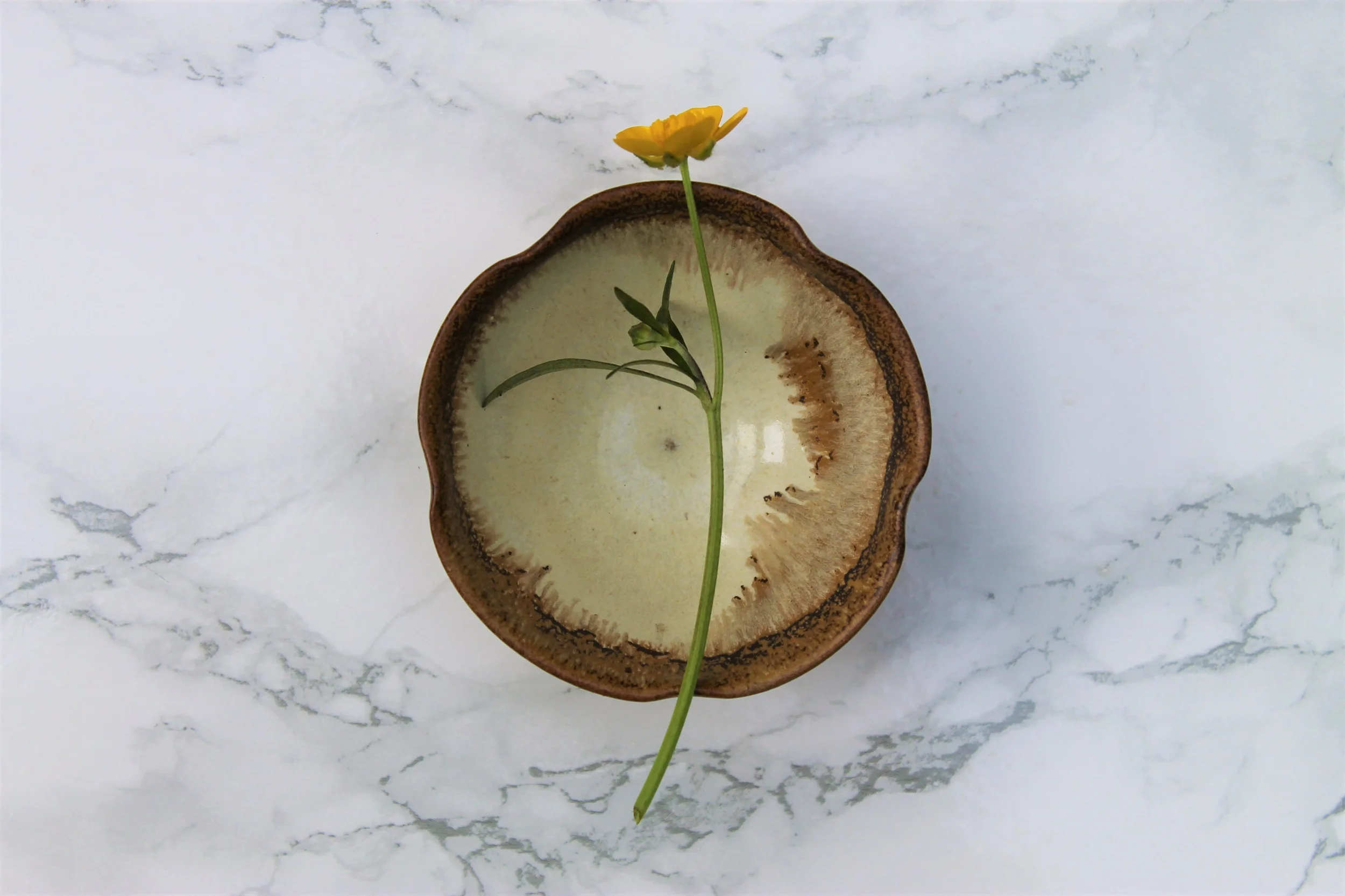 Umi Tea Sets – The Rainforest Wall Japanese Tea Cup Review