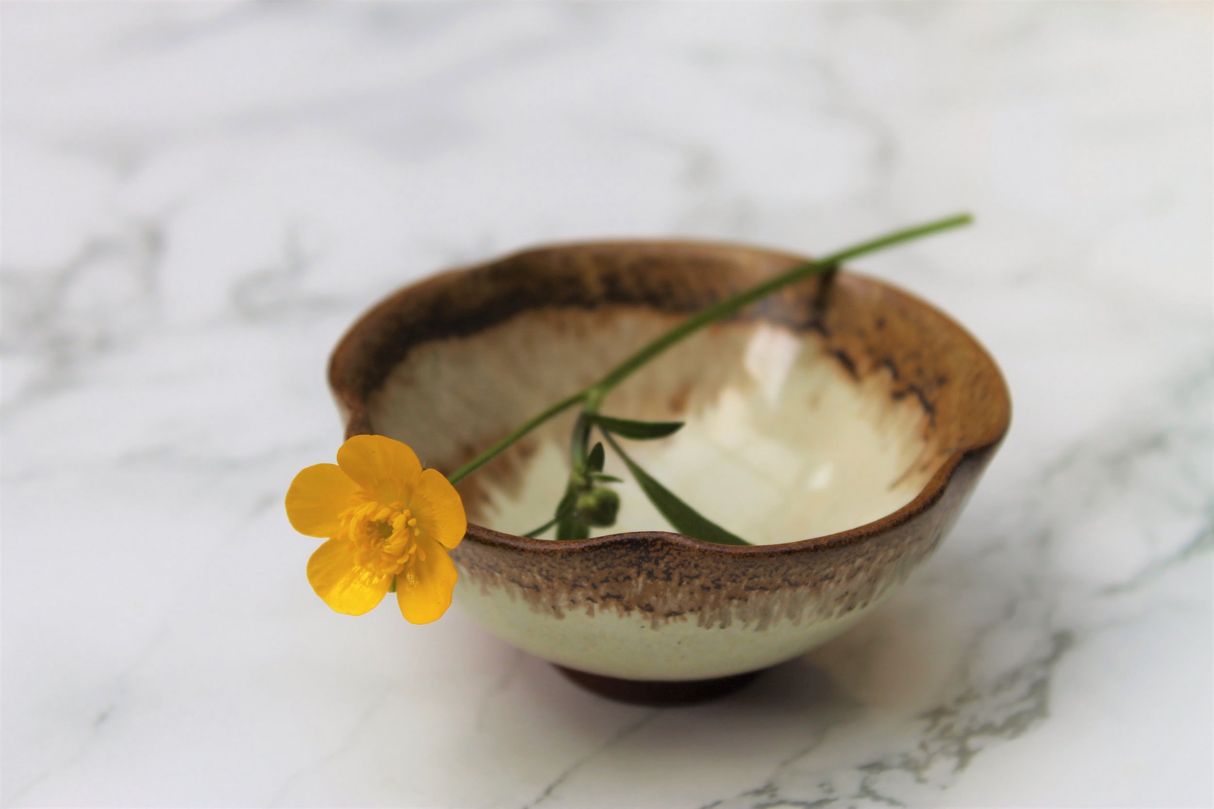 japanese tea cup with buttercup