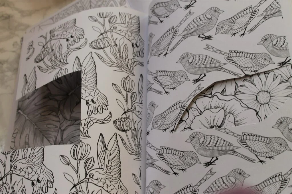 adult colouring books