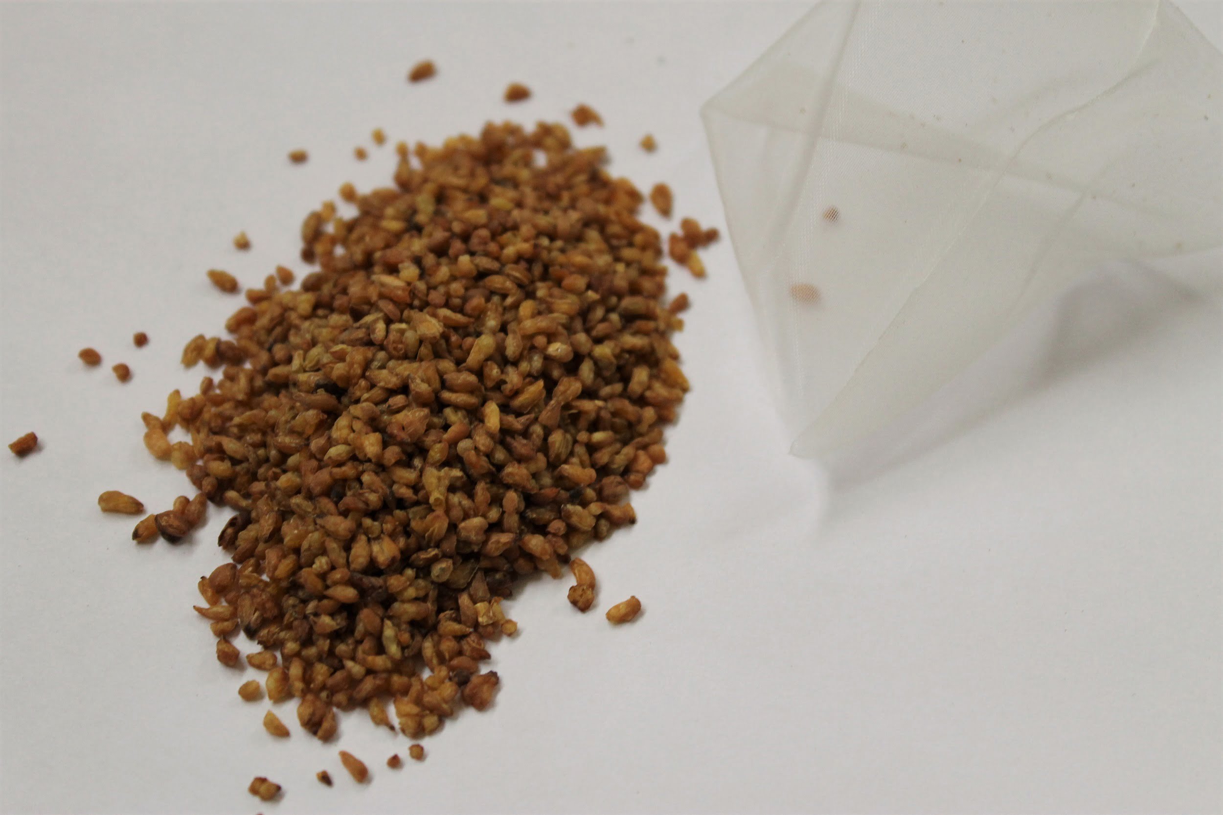 roasted buckwheat kernels