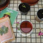 rinked eco Earl Grey for Gut Health Tea Review