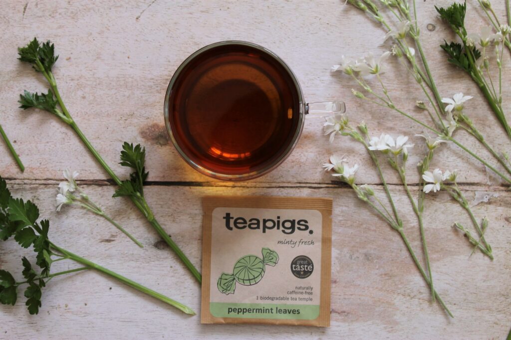 Teapigs Peppermint Leaves Tea Review