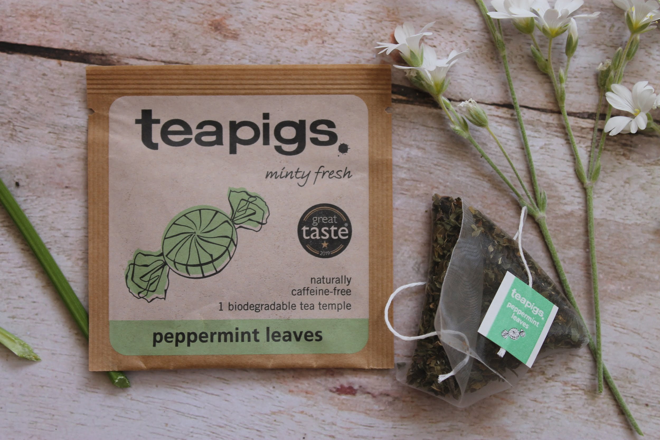 teapigs peppermint leaves teabag