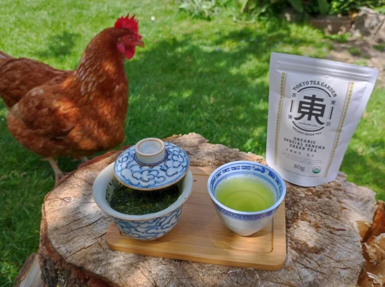 Craftedleaf Qinghua Blue Cloud Gaiwan Review