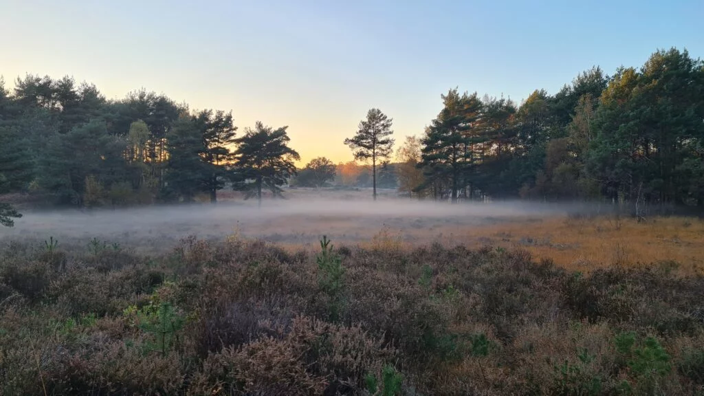 foggy english countryside