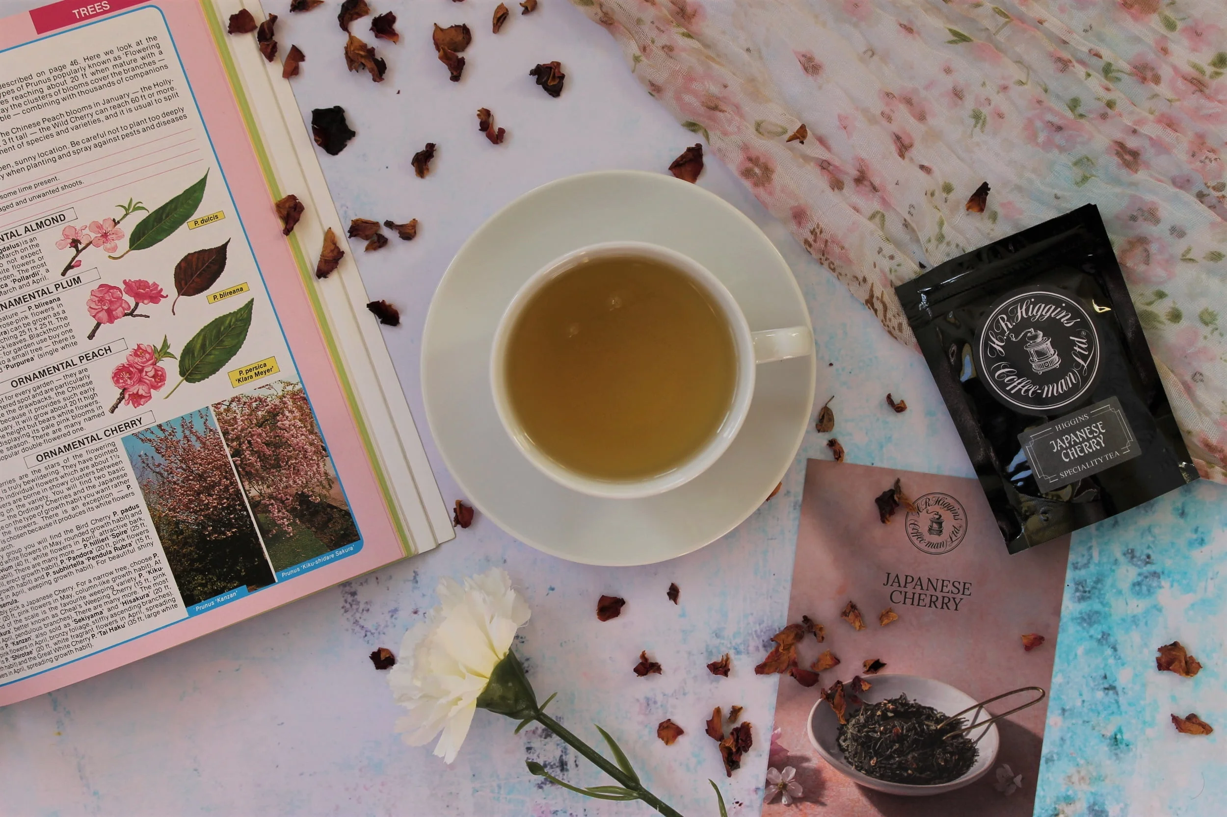 H. R. Higgins Japanese Cherry Tea Review