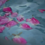 rose petals floating in water for a tea bath