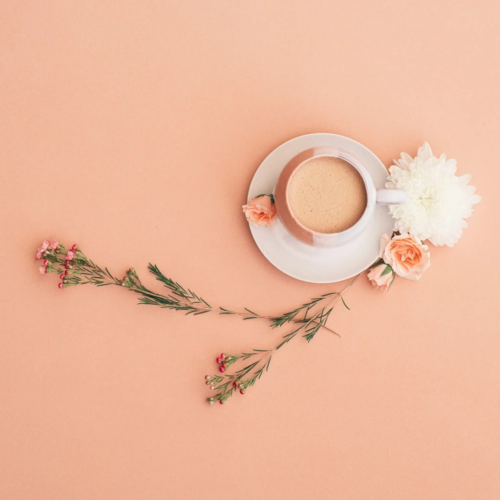 carnations used for instagram flatlay photography arrangement