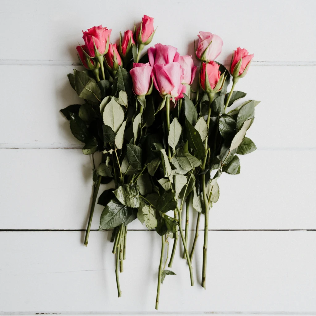 pink and red roses flatlay