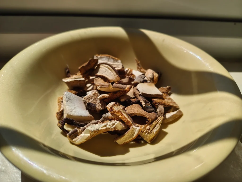 dried mushrooms