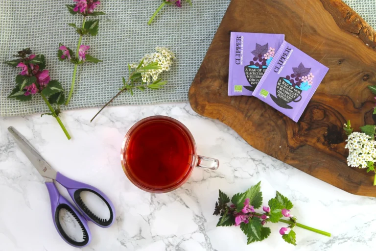 Clipper Blackcurrant and Blueberry Tea Review