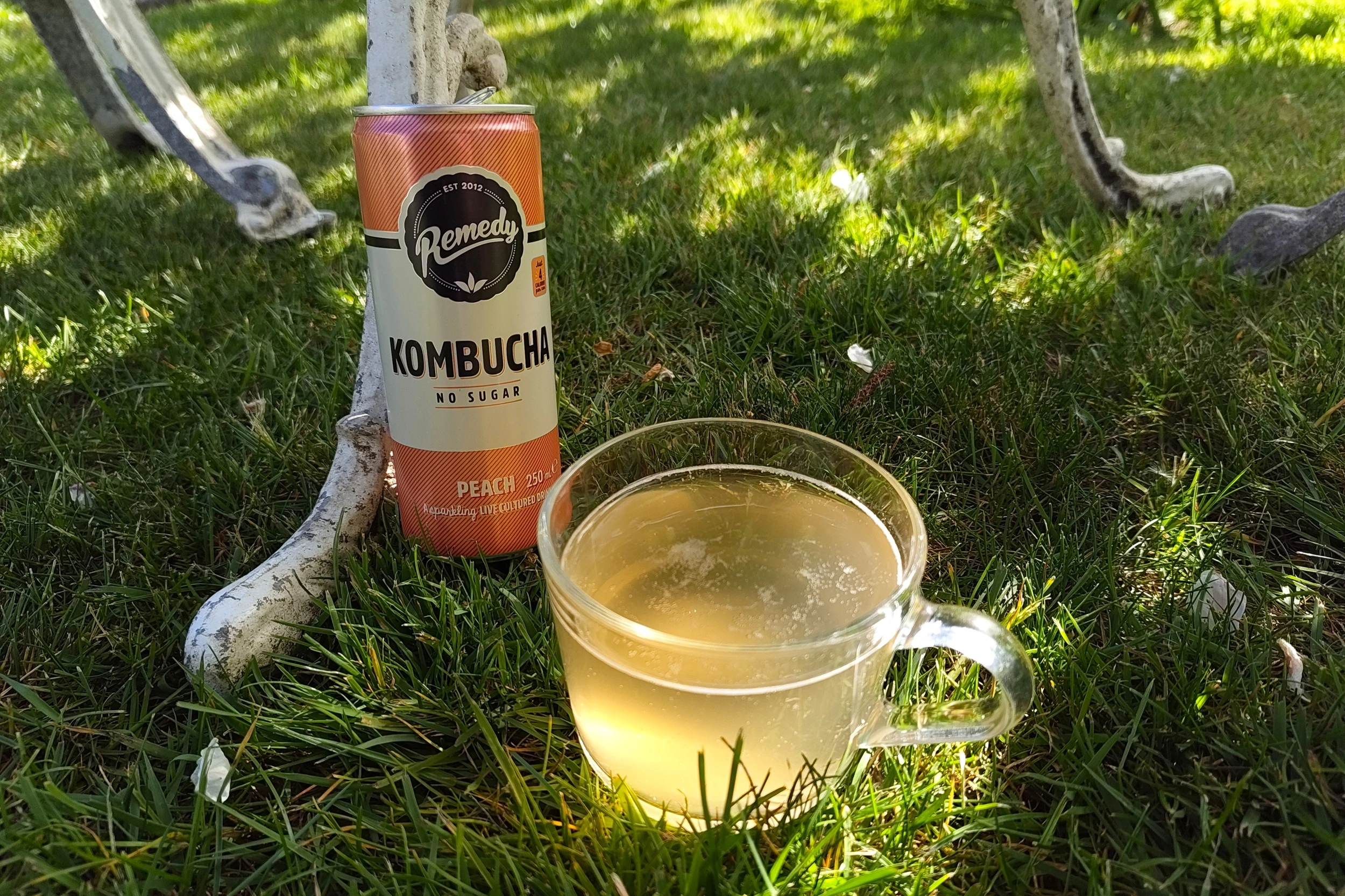 Remedy Peach Kombucha Review