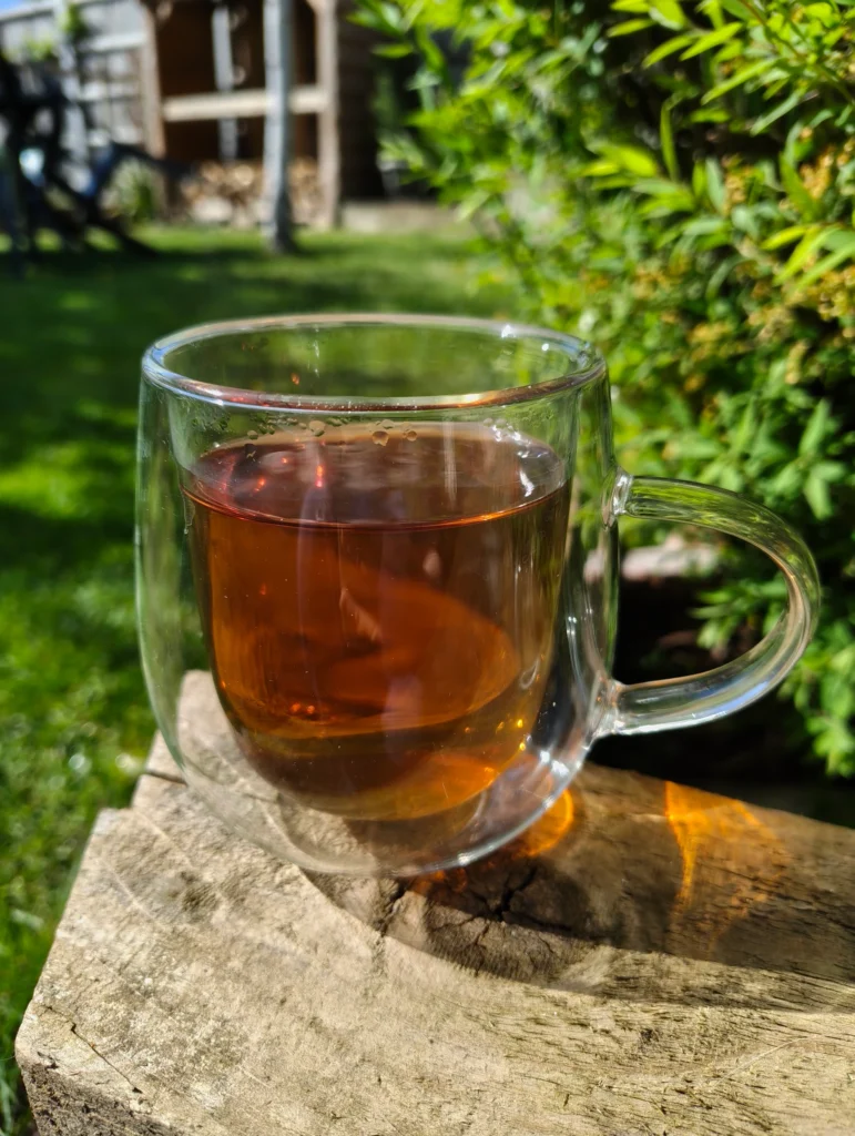 fermented blackberry leaf tea