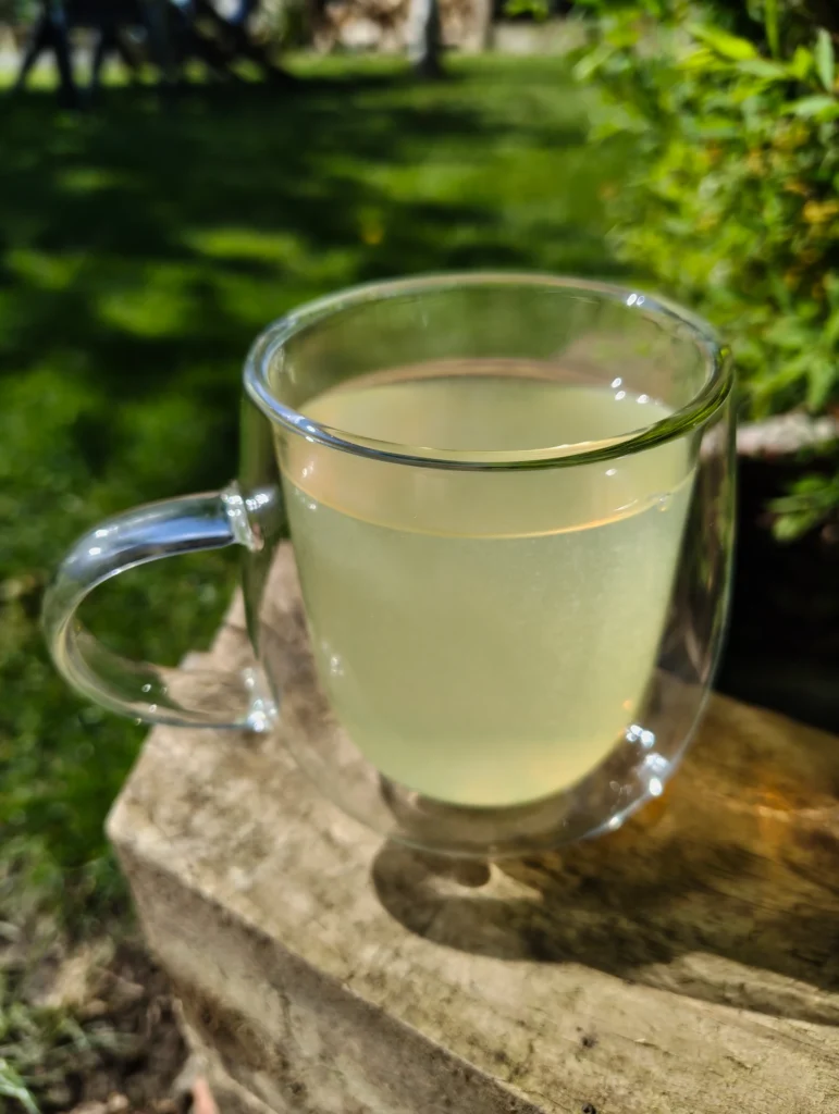 fresh blackberry leaf tea