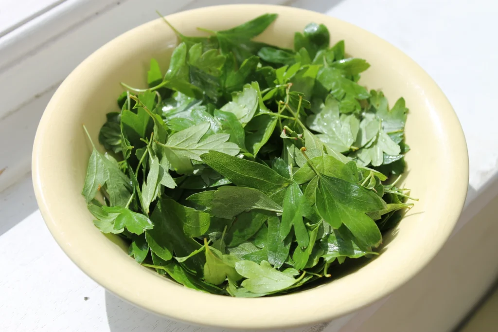 washed hawthorn leaves