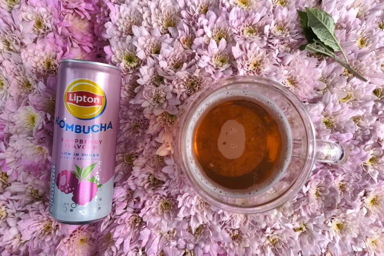 Lipton Raspberry Kombucha Review