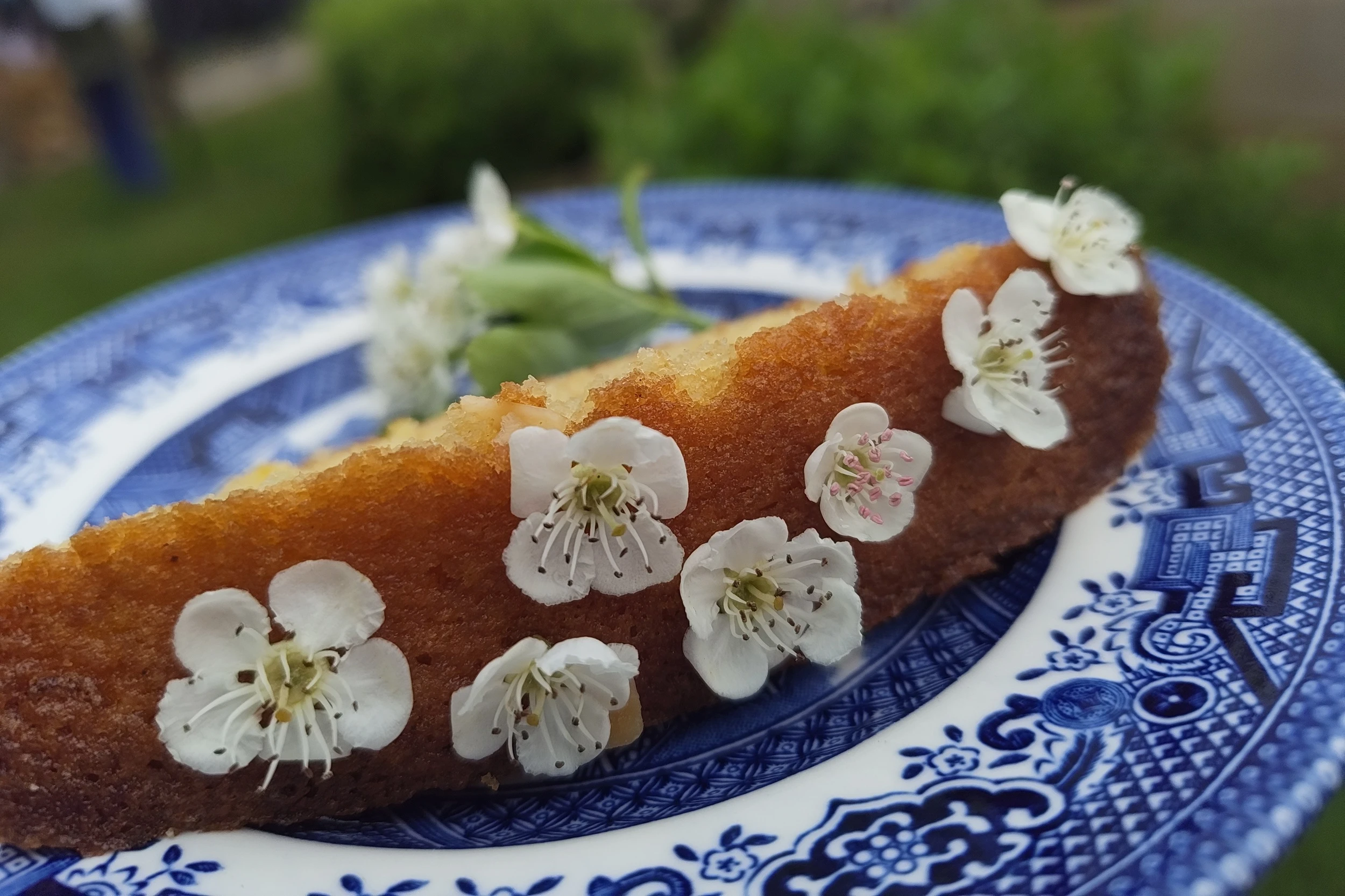 Hawthorn, Lemon & Cardamom Cake Recipe